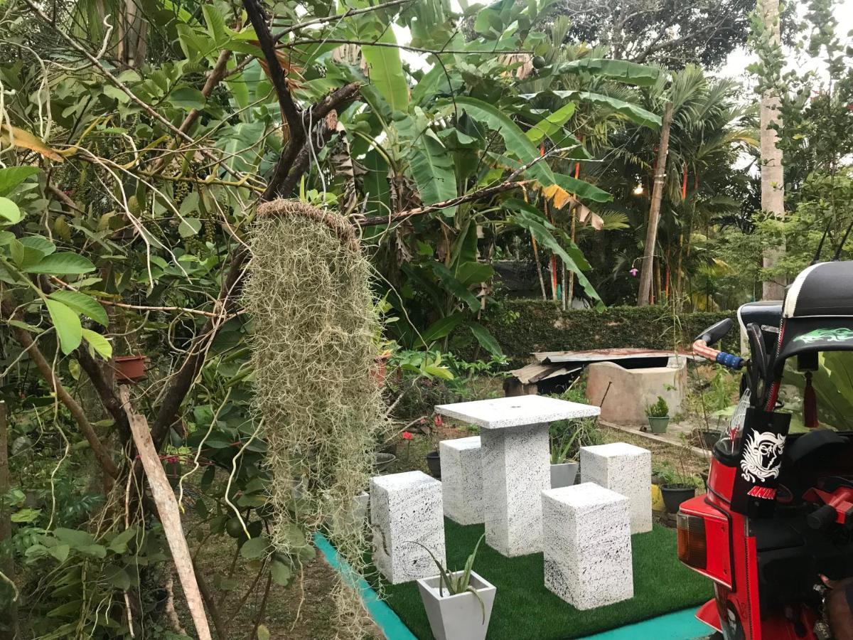 Jilan Homestay Bentota Dış mekan fotoğraf