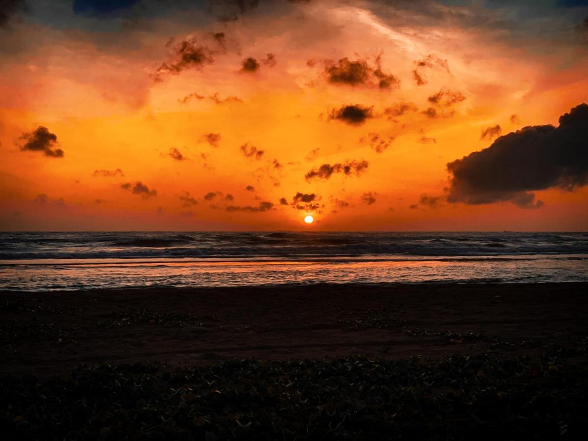 Jilan Homestay Bentota Dış mekan fotoğraf