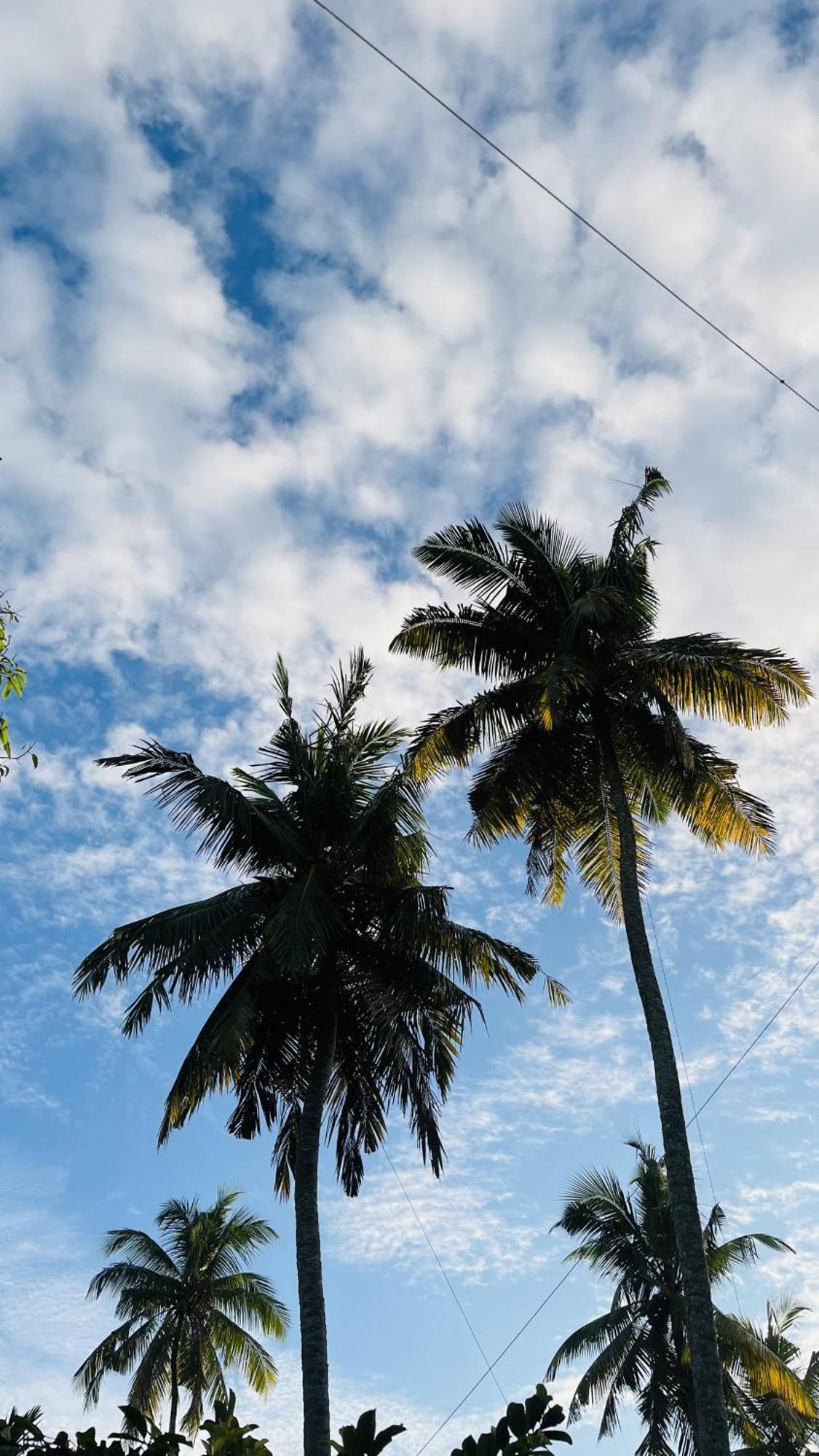 Jilan Homestay Bentota Dış mekan fotoğraf