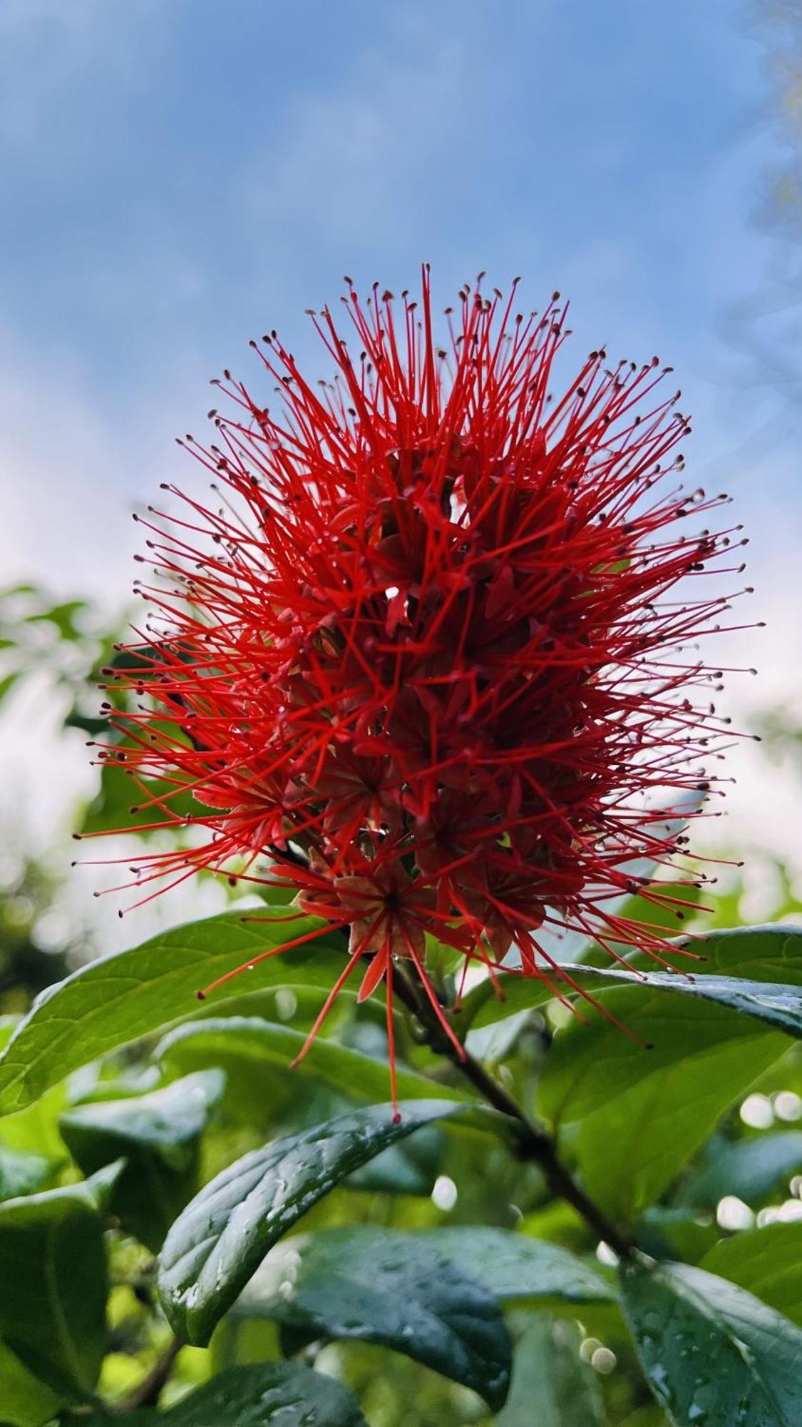 Jilan Homestay Bentota Dış mekan fotoğraf