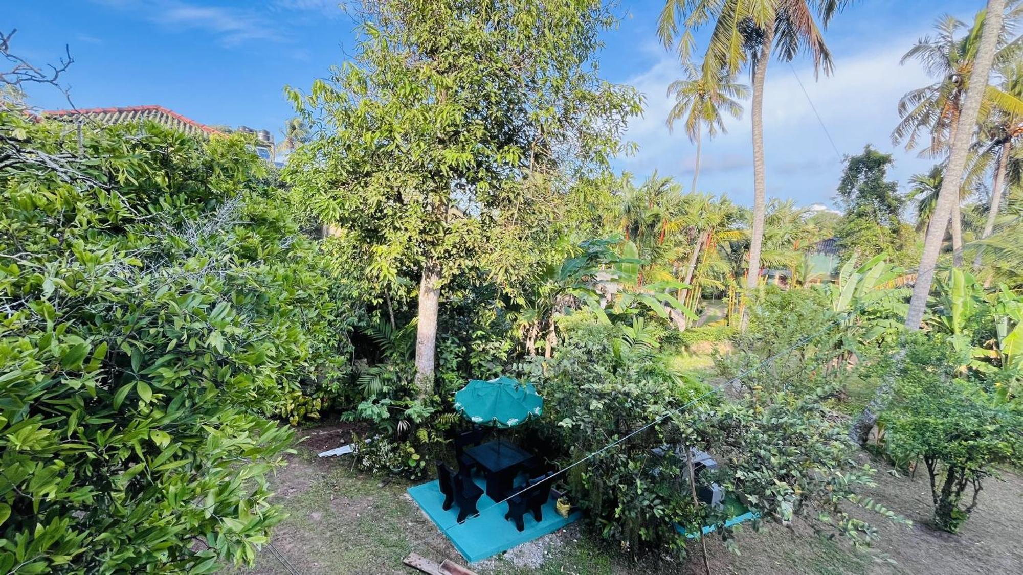 Jilan Homestay Bentota Dış mekan fotoğraf